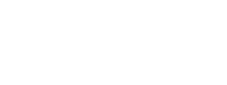 tuflota.com logo